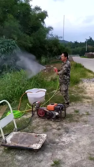 Portable Gasoline Engine Power Sprayer Pump Agricultural Machine 768c 4stroke for Small Shrubs, Grain Harvesting