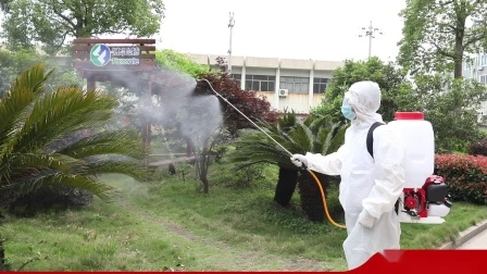 Pulverizador a gasolina de mochila com CE (TF