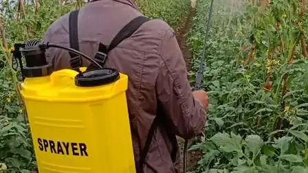 Desinfecção agroquímica esterilização agrícola mochila fazenda jardim bateria elétrica mochila mão pulverizador manual (ht