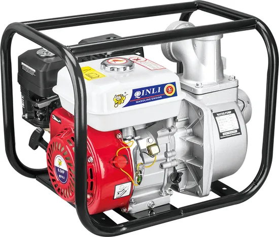 Pulverizador portátil de energia 22/30bar com tipo de maca de motor a gasolina para irrigação agrícola